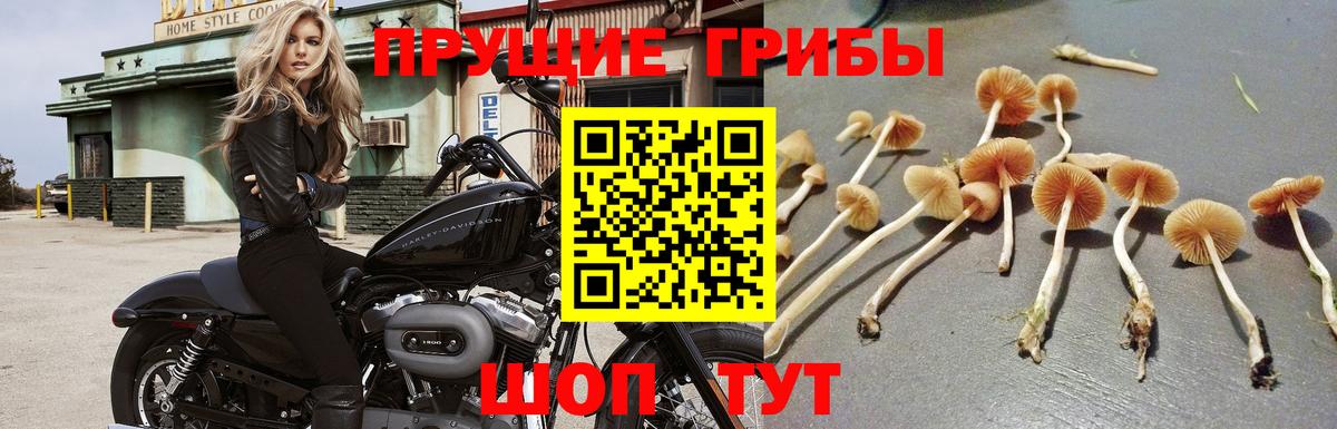 Псилоцибиновые грибы Magic Shrooms  Вход с VPN  Псилоцибиновые грибы ЛСД  Стрежевой 